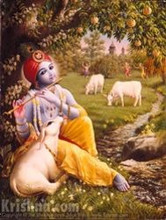 Peinture présentant un veau qui regarde avec adoration le dieu-vacher Krishna