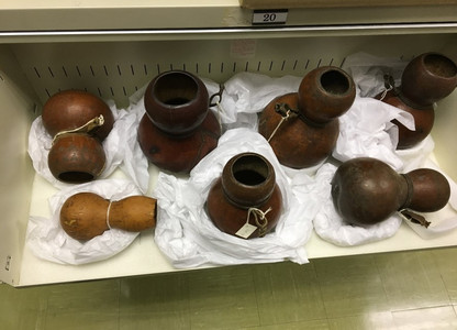 Pots à laits de groupes pastoraux éthiopiens de la réserve de la collection