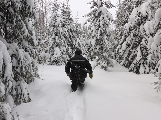 Photo intitulée "Jusqu’aux genoux", par Thomas Lecomte, cadrant un homme qui marche tout seul dans la neige